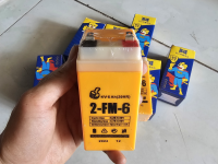PIN CÂN ĐIỆN TỬ