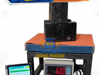 Cân điện tử kết nối với điện thoại đọc rõ số ký chuyên cân lúa cân gà vựa