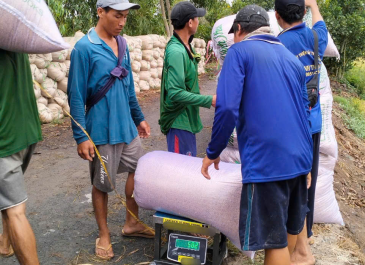 Tư vấn lựa chọn cân phù hợp