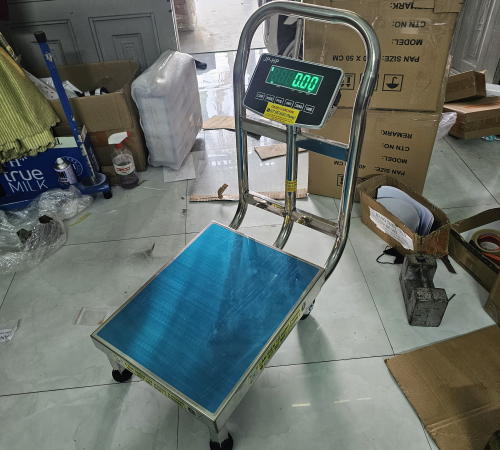 CÂN ĐIỆN TỬ XE ĐẨY 40×50CM CHẤT LIỆU INOX 304 ,CHỐNG NƯỚC CHỐNG RỈ, 300KG ,LẮP ĐẦU BÁO SỐ 8201