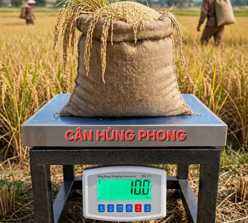 TÔI MUỐN MUA CÂN ĐIỆN TỬ CÂN LÚA VÀ CÂN HEO KHÔNG BIẾT MUA Ỏ ĐÂU