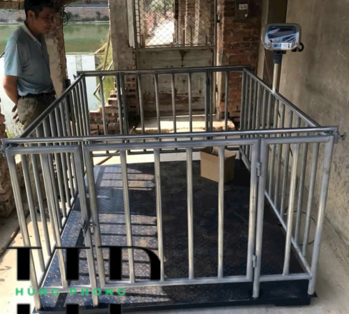 Cân heo điện tử 1 tấn Hà Nam