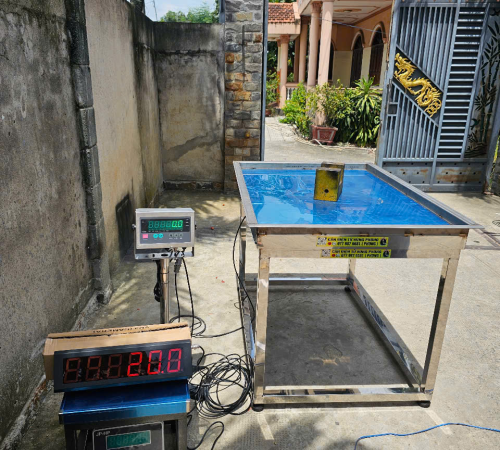 Cân thịt heo đông lạnh chất lượng tại Tp.HCM