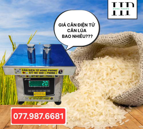 Cân Điện Tử Cân Lúa Giá Bao Nhiêu