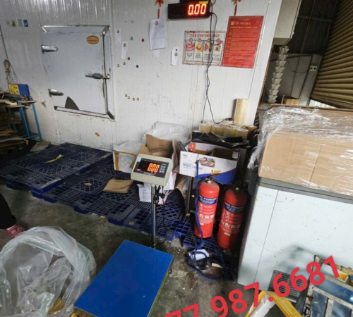 GIAO CÂN BÀN CỘT CHO CHỊ KHÁCH  CÓ KẾT NỐI BẢNG ĐÈN, ĐỂ CHECK CAMARA Cân bàn cột 40×50cm 300kg  Chất liệu inox 304  Lắp đầu t7e Cân thịt đông lạnh 