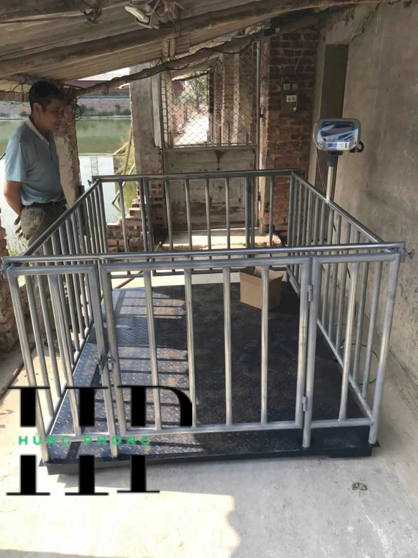 Cân điện tử cân heo giá rẻ Hà Nam