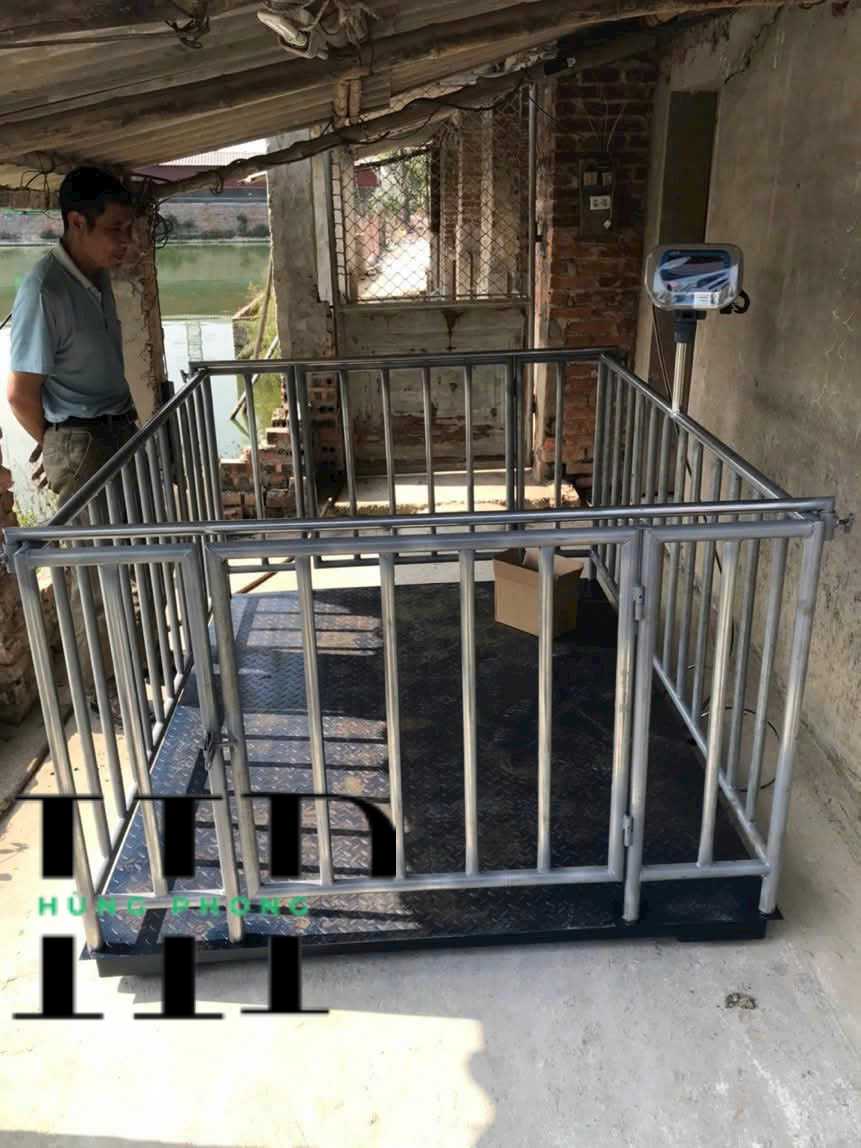 Cân heo điện tử 1 tấn Hà Nam