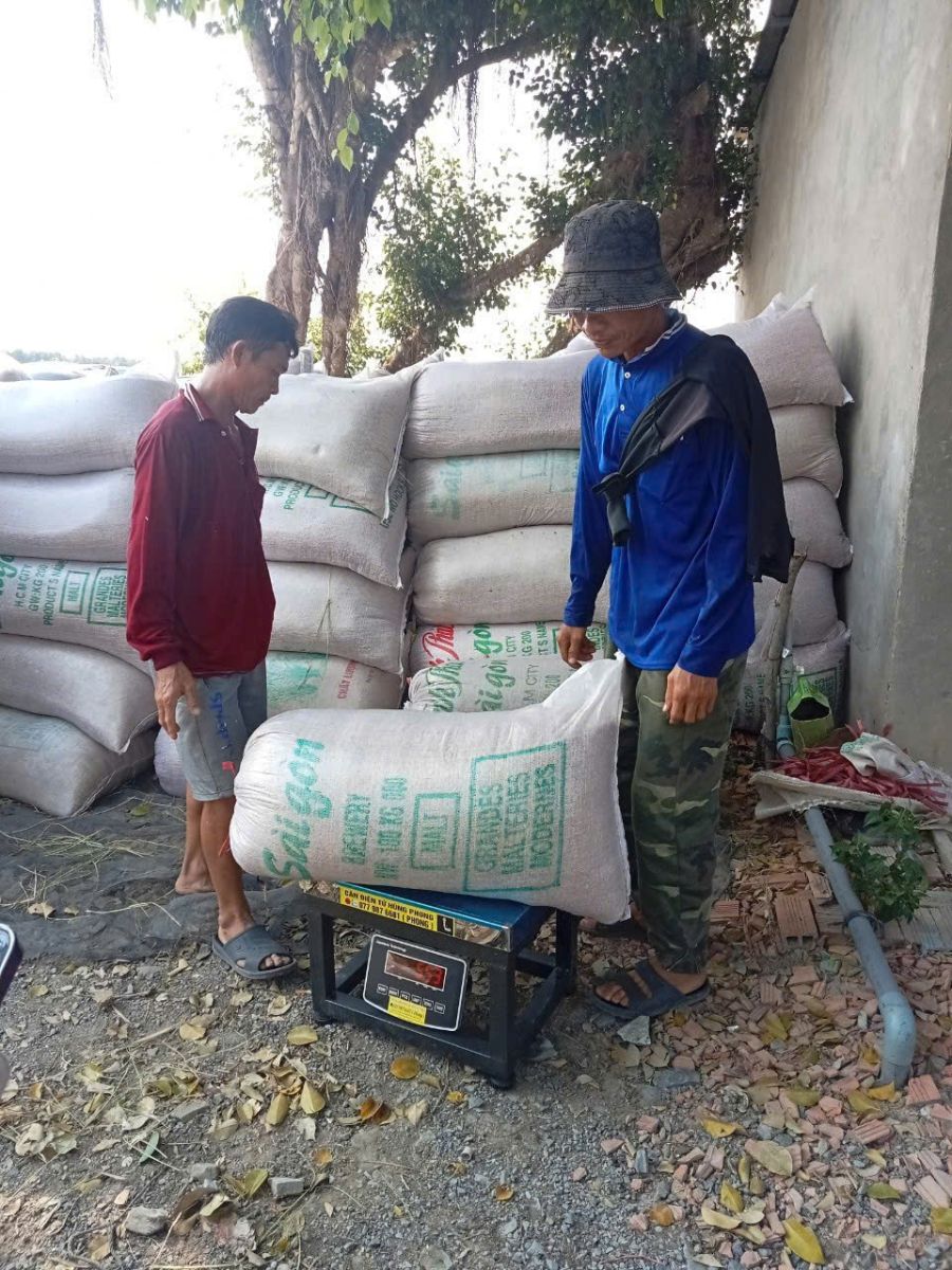 Đơn vị chuyên cung cấp cân điện tử cân lúa giá tốt tại các tỉnh miền tây