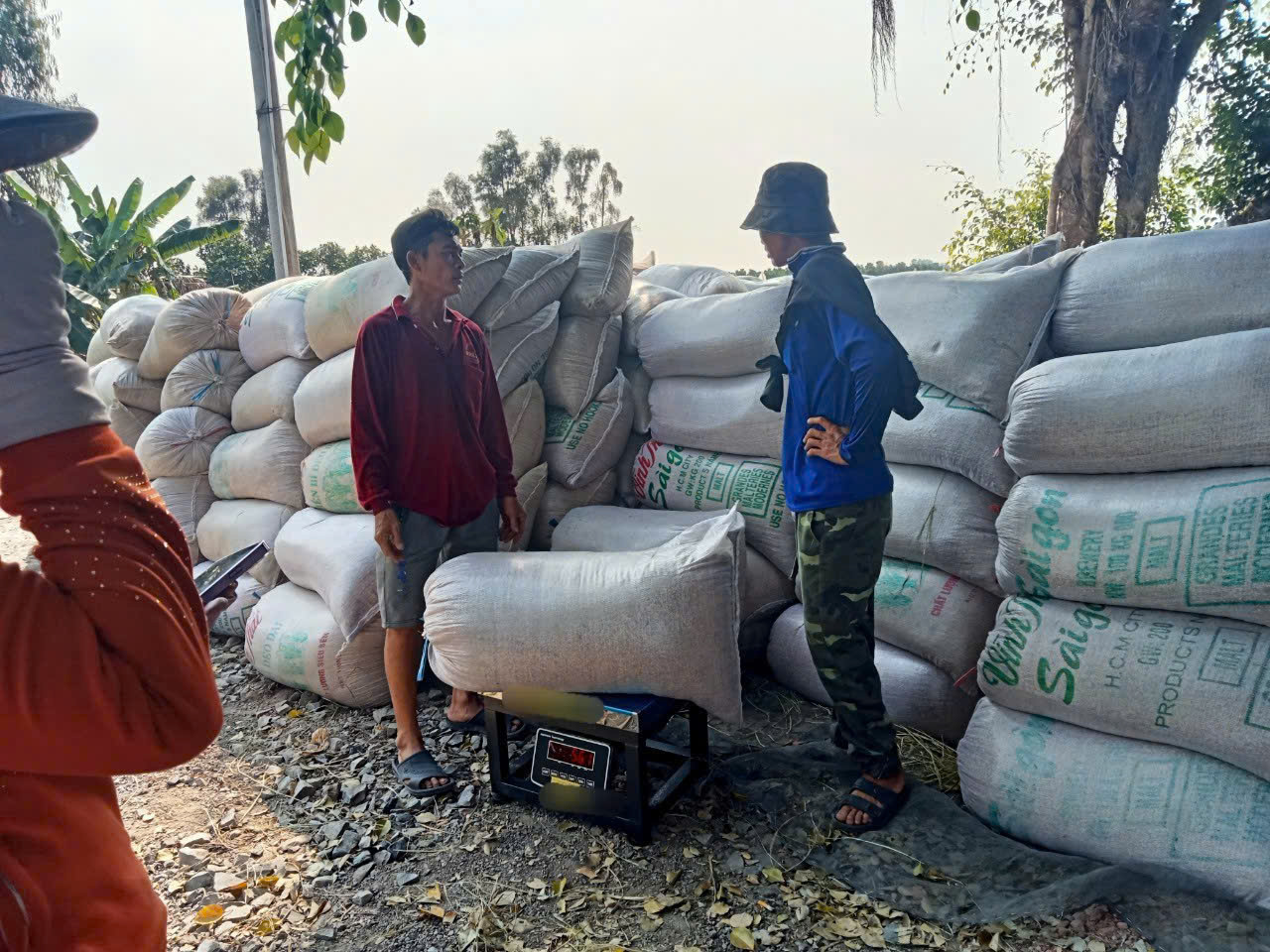 Đơn vị chuyên cung cấp cân điện tử cân lúa giá tốt tại các tỉnh miền tây