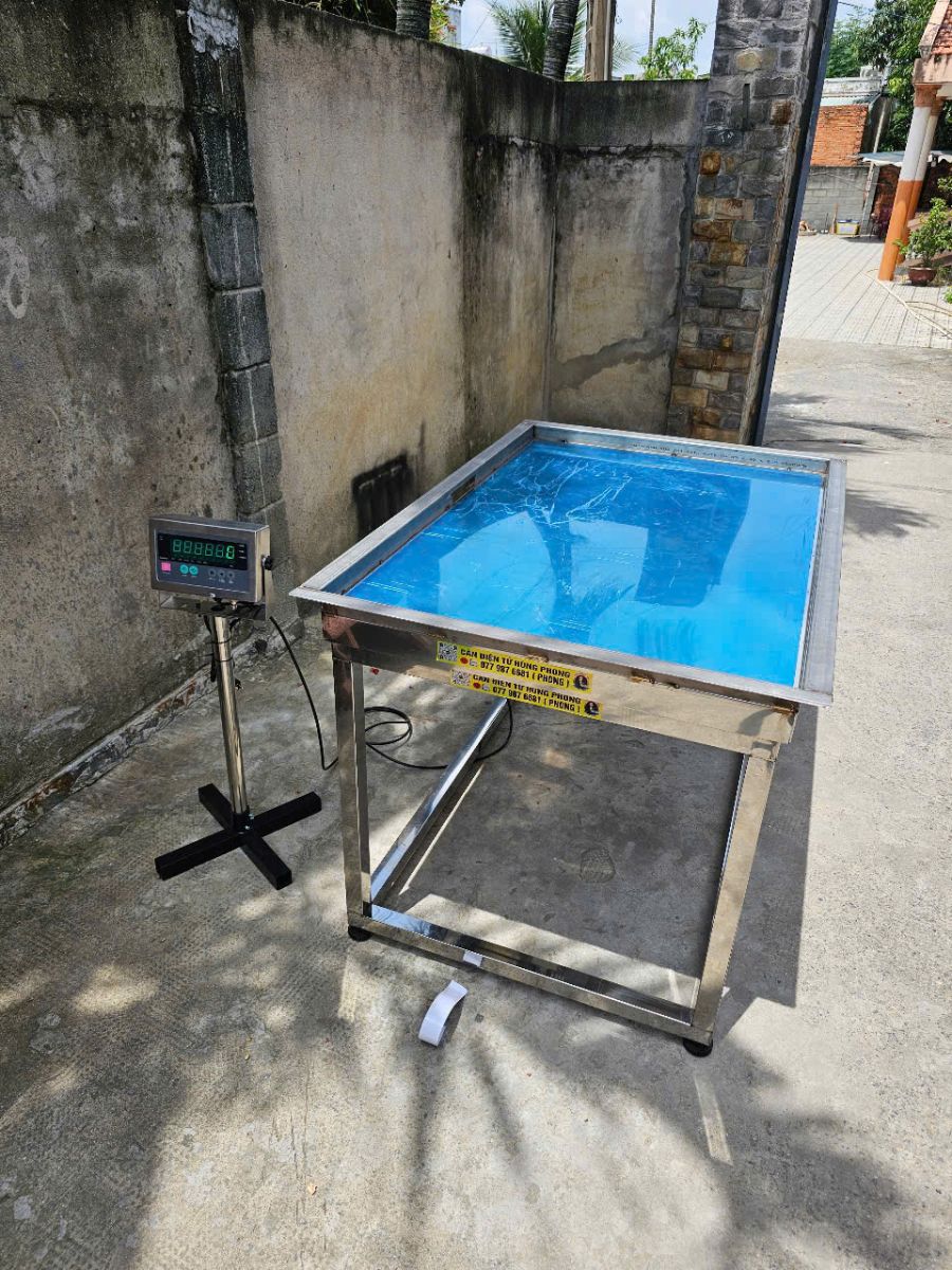Cân thịt heo đông lạnh chất lượng tại Tp.HCM