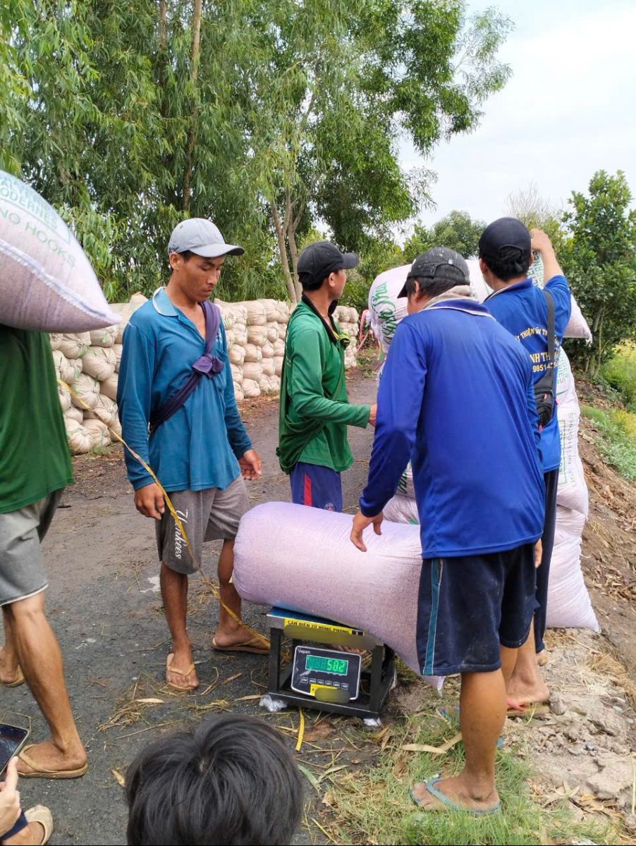 Chuyên Cung Cấp Cân Điện Tử Chất Lượng Toàn Quốc