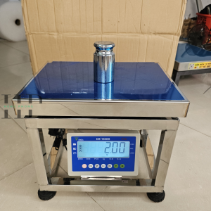 CÂN GHẾ NGỒI ĐIỆN TỬ INOX 304 LẮP ĐẦU DS 166SS NHỰA CHỐNG LÓA CHỬ ĐEN NỀN TRẮNG