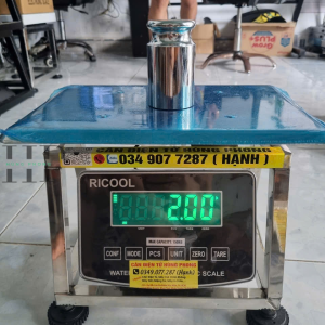 CÂN GHẾ NGỒI MINI 25×35CM  INOX 304 , 60KG 150KG 200KG CHUYÊN CÂN CÁ ,CÂN LÚA,CÂN TÔM